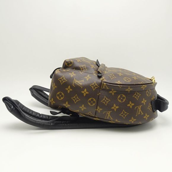 Louis Vuitton Monogram Palm Springs Backpack PM Brown Rucksack - Picture 3 of 8